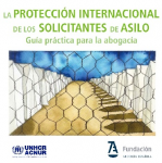 La protección internacional de los solicitantes de asilo vignette