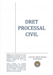 Butlletí DSI Dret processal civil vignette
