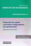 Protección del capital y principios configuradores vignette