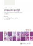 Litigación penal vignette
