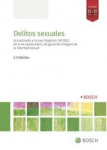Delitos sexuales vignette